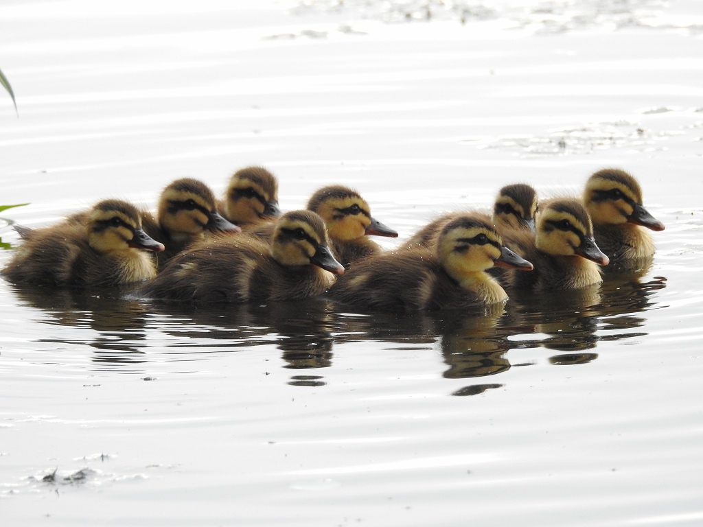 91.みんな一緒に