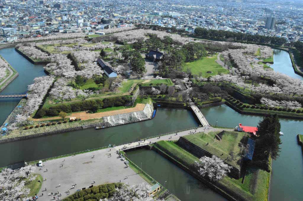 61. タワーから見た五稜郭