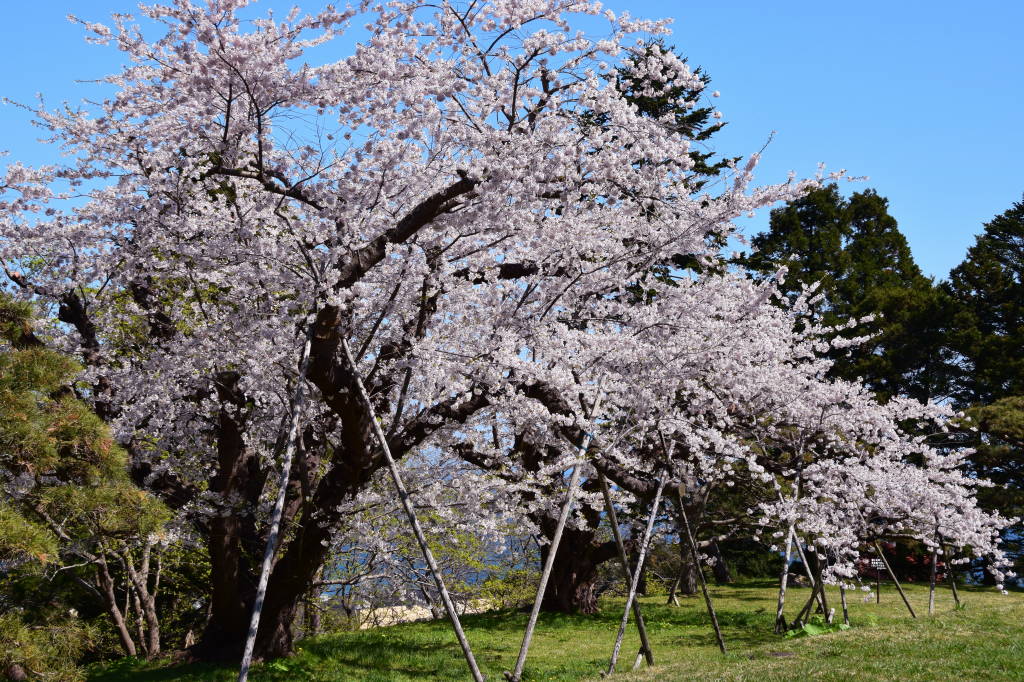 62. 函館山山麓にある