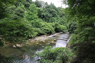 11.養老渓谷