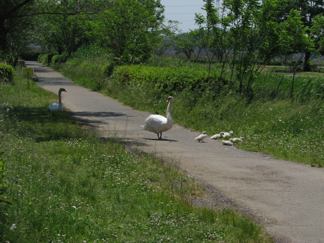 3. V苒RunN`EƑ