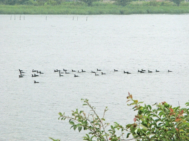 2. JĚQ