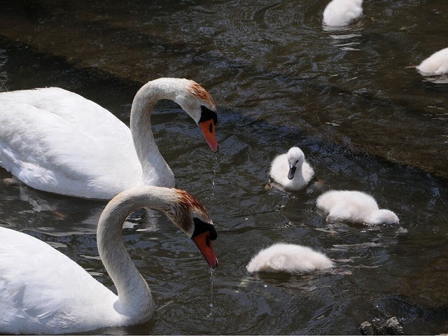 3. qiƋɐHׂRunN`EB