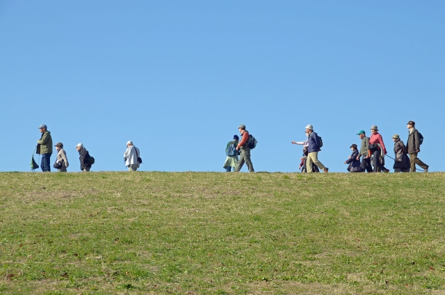 2)江戸川土手を歩く