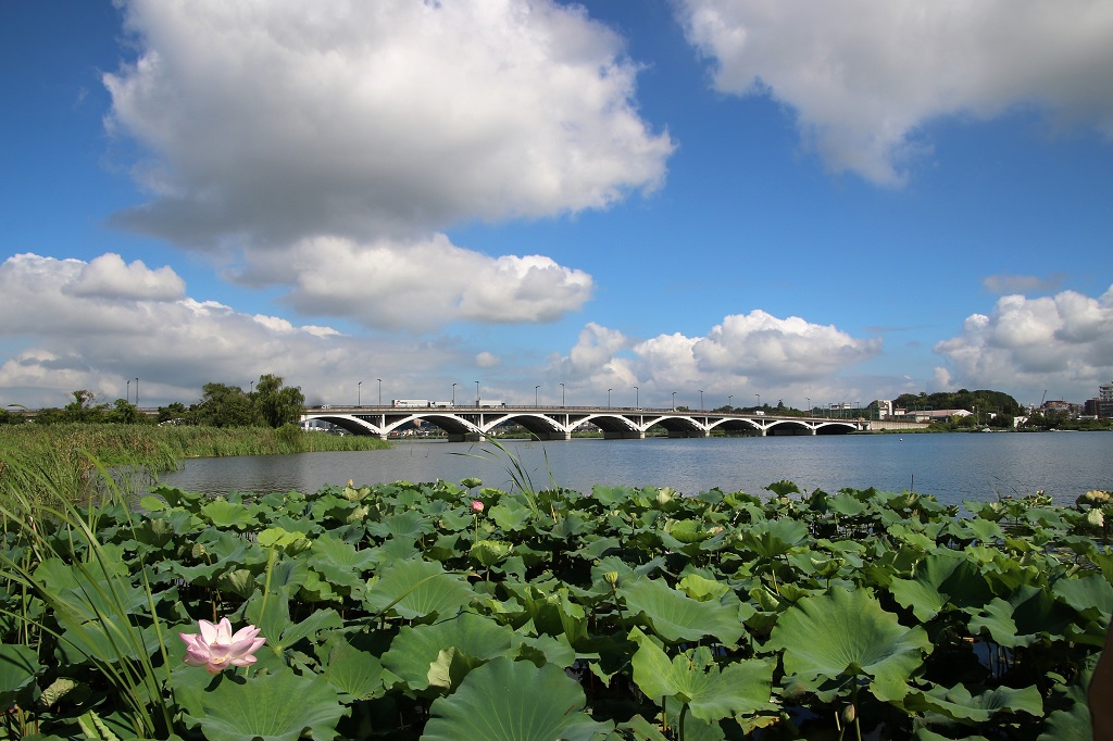 02.手賀大橋