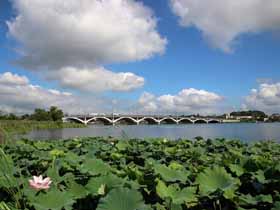 02.手賀大橋