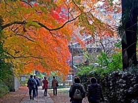 01 観福寺山門から