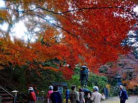 02　観福寺の紅葉