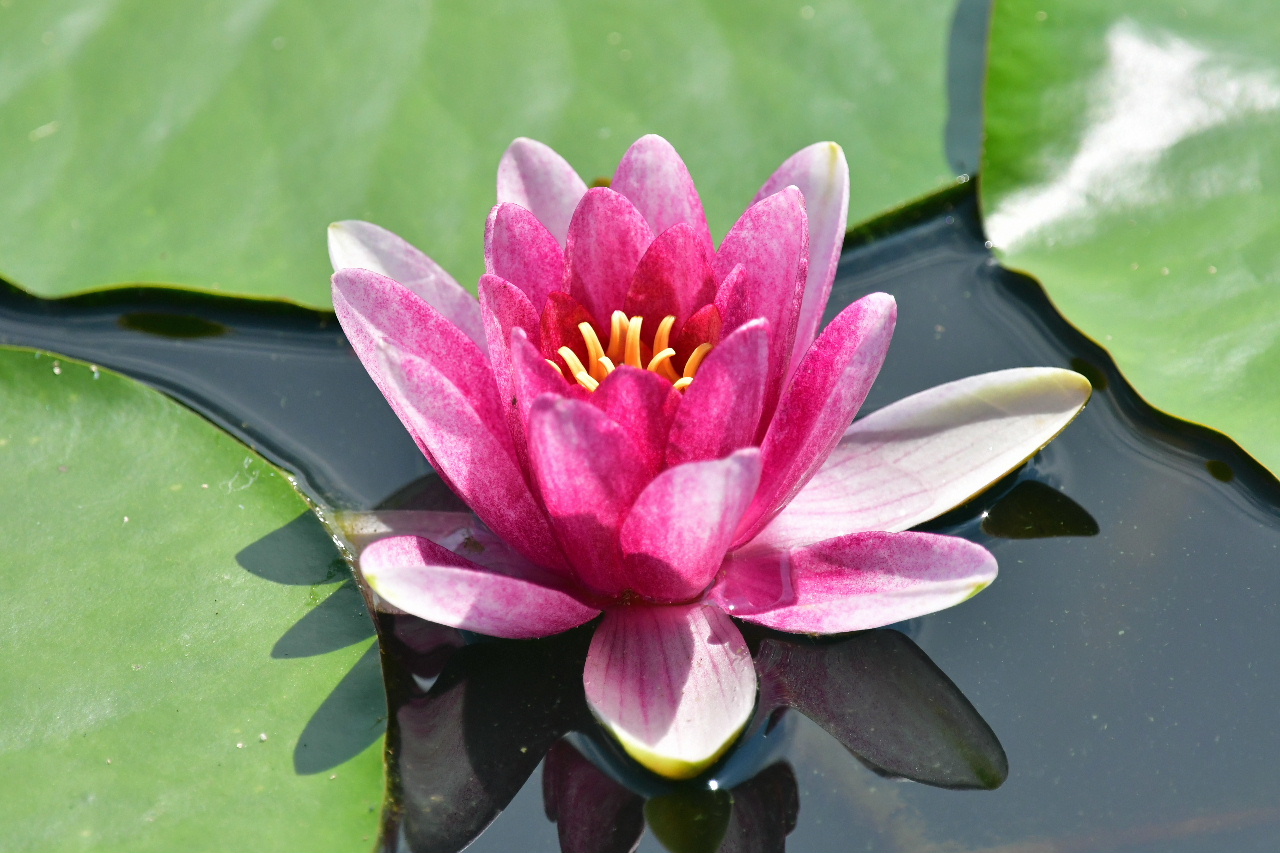 1.