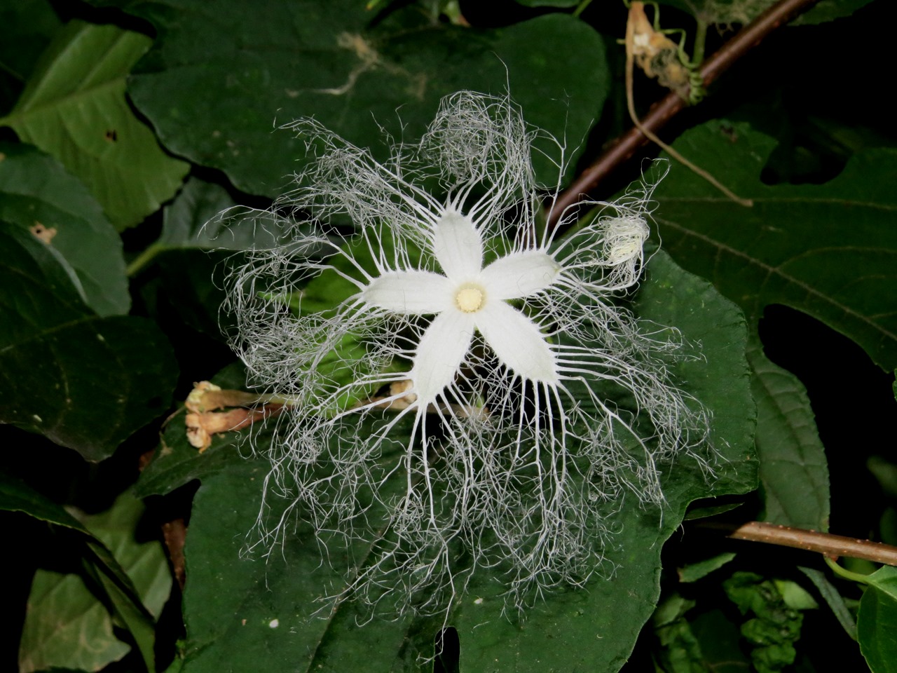 1.