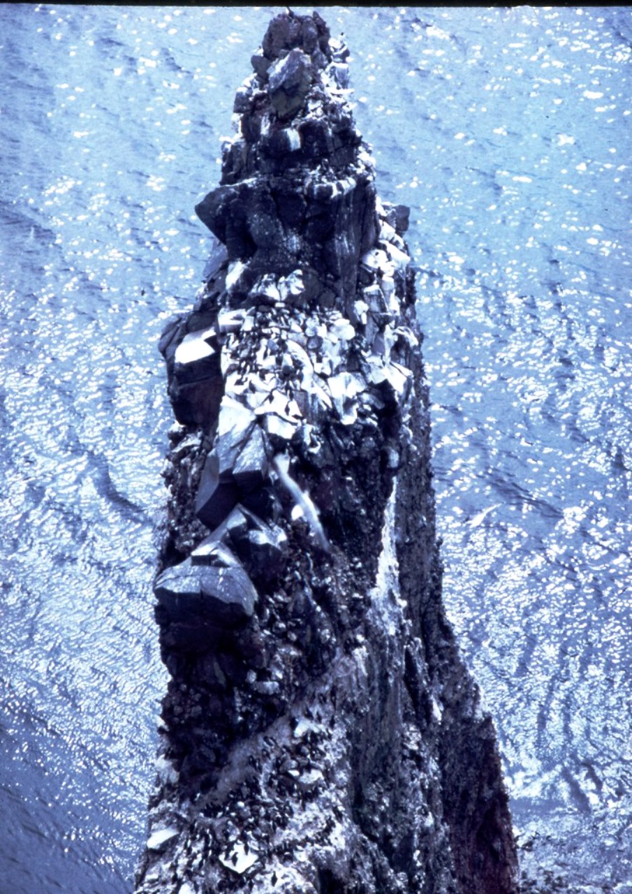 1.