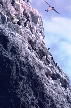46.