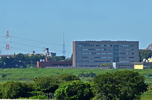 13.XJCc[