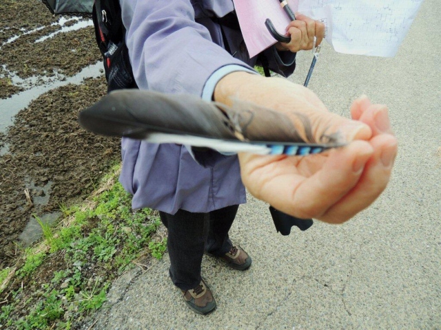 06.JPX̉HĂ