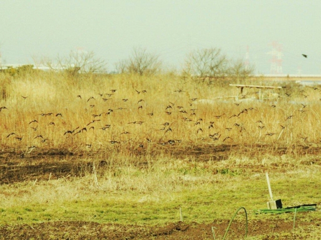 08.NȟQ