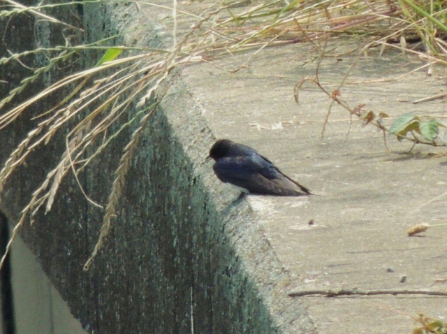09.x݂co