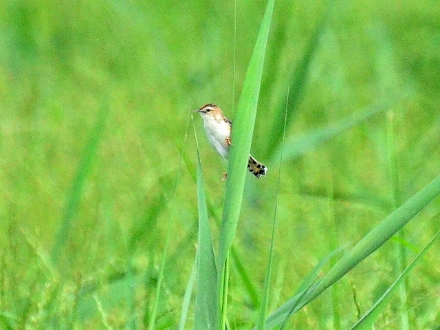 06.ZbJ