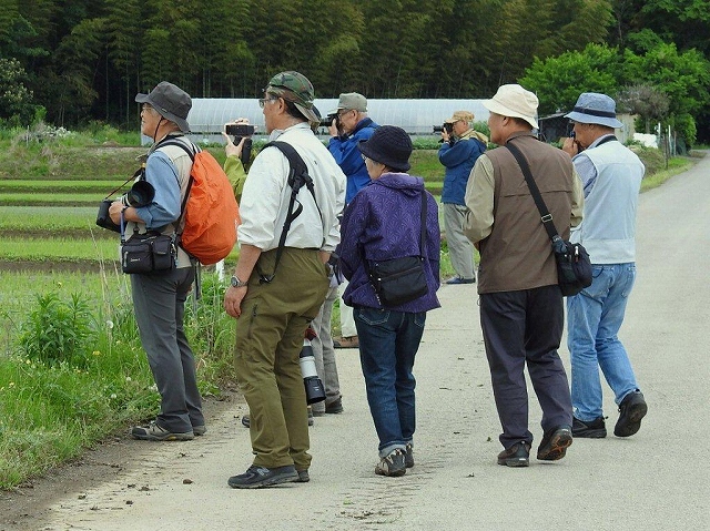 12.四種のサギに夢中