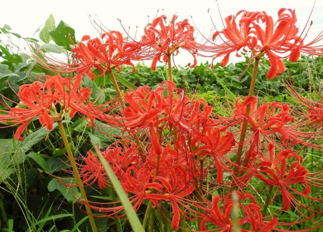 13.썹