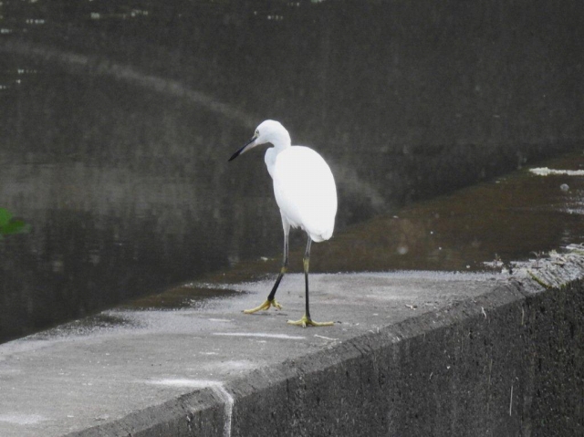 03.RTM