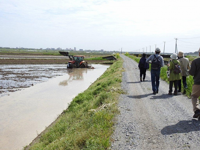 14.田植え前の道を行く